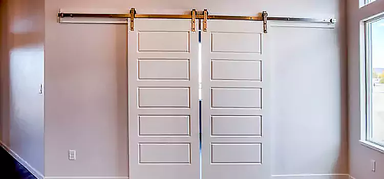 Glass Barn Door with Installation Hardware Kit North Augusta